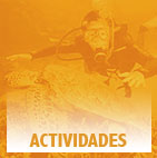 Actividades