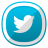 Twitter icon